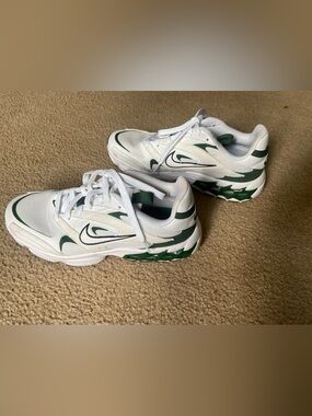 Nike Zoom Air Fire White/Green